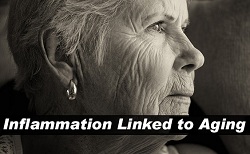 Inflammation And Aging
