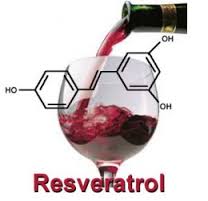 what is resveratrol